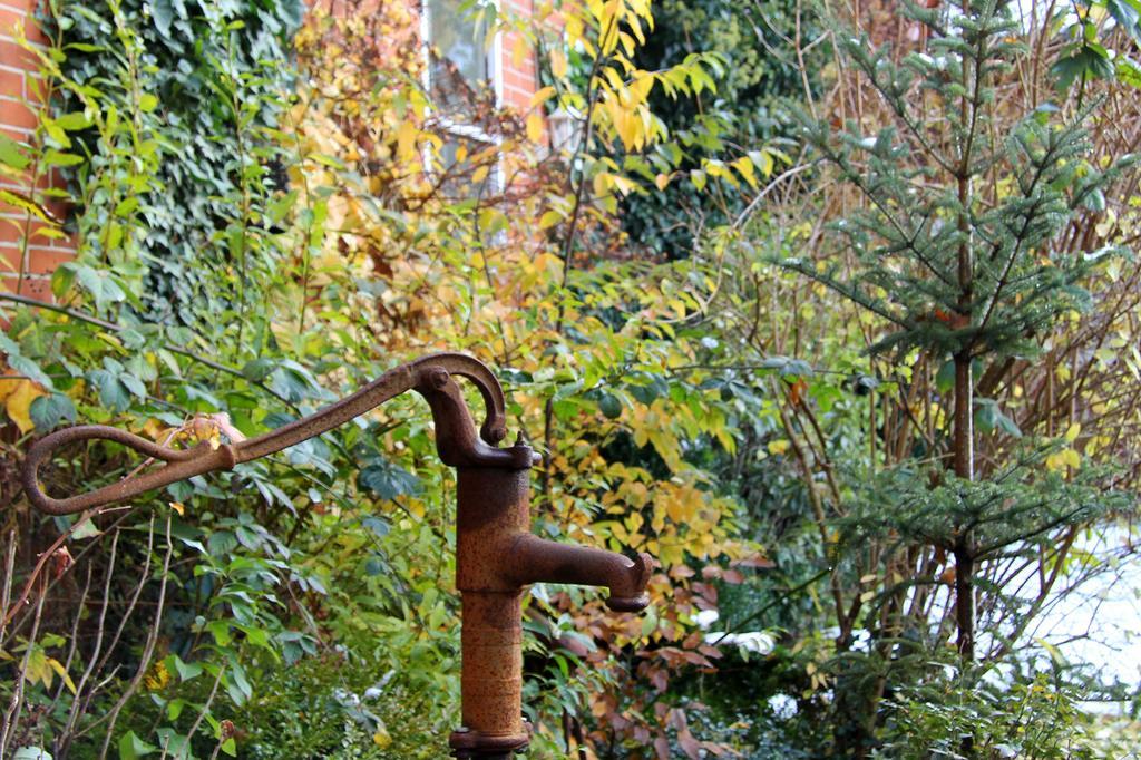 Ferienwohnung Zinne-Wigger Steimbke Extérieur photo